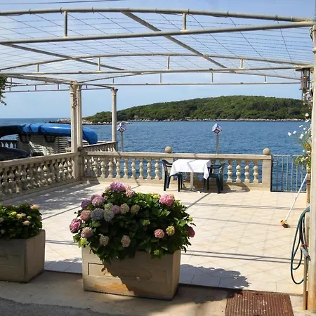 Molunat 8964b Apartmán *