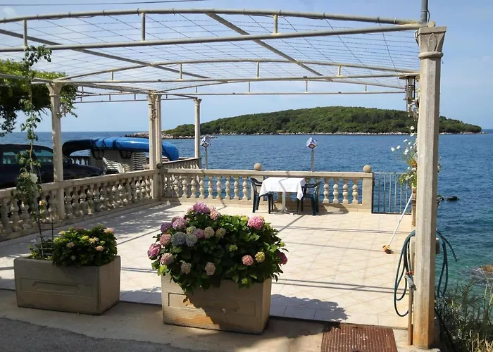 Molunat 8964b Apartmán *